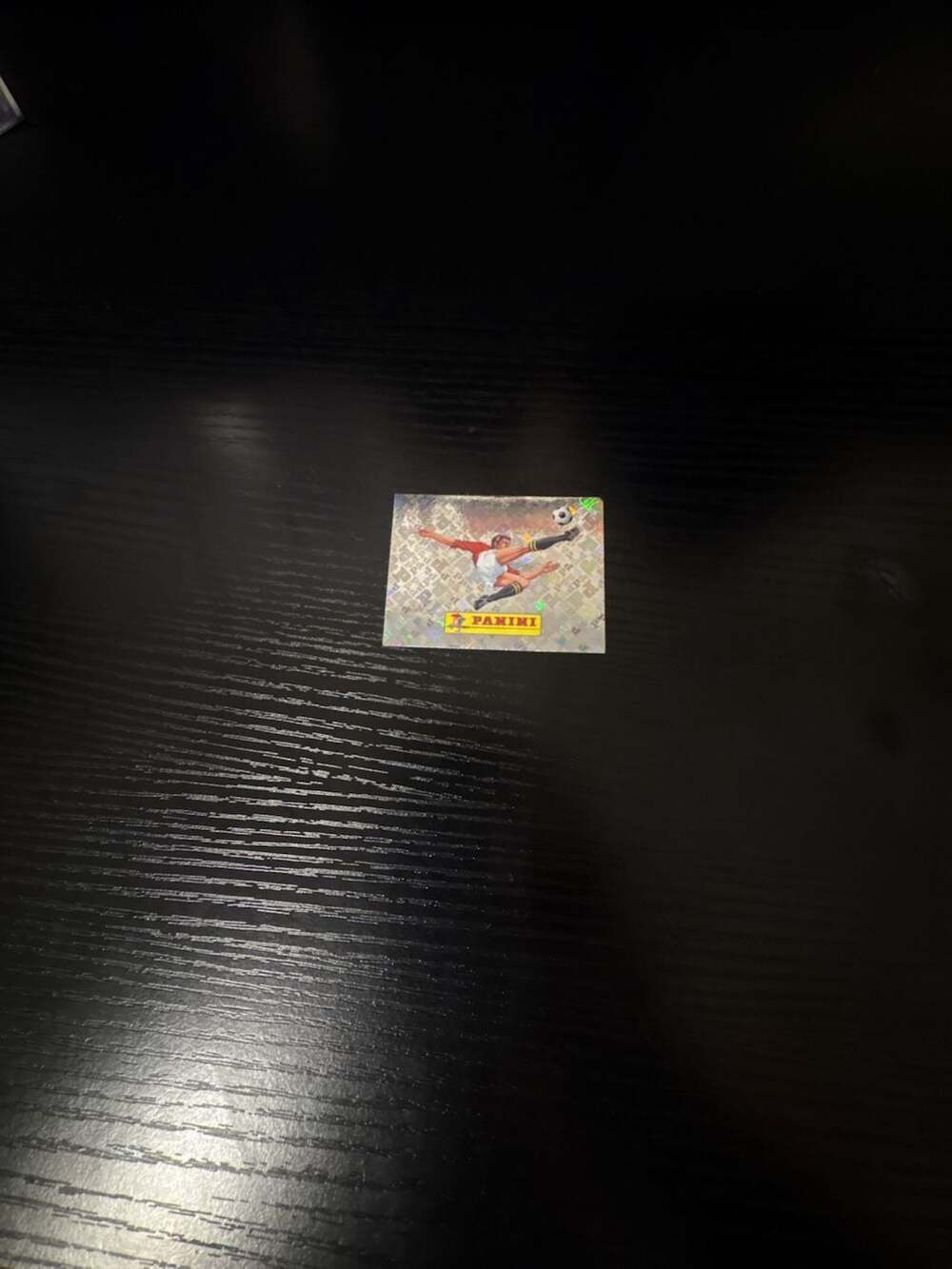 Panini FIFA World Cup 2022 Qatar #00 Hologram Logo Sticker